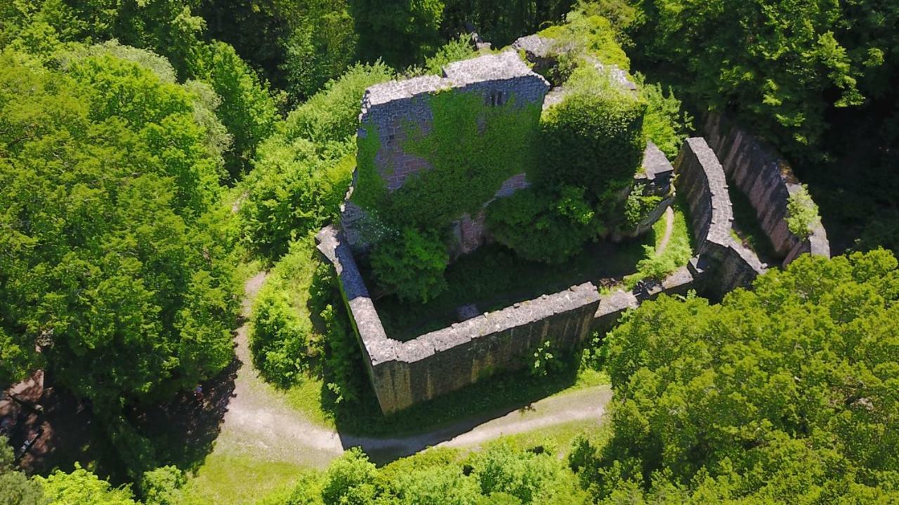 Bungalow Im Schwarzwald Auf Wunderschoenem Anwesen Neubulach Экстерьер фото